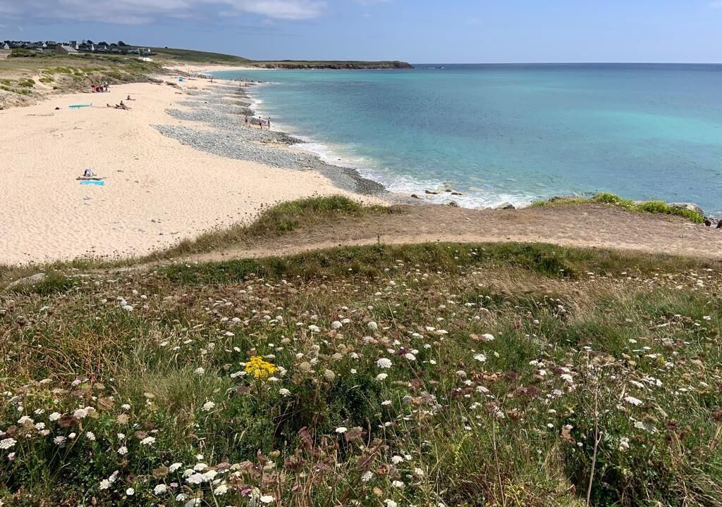 Photo of Others in Primelin