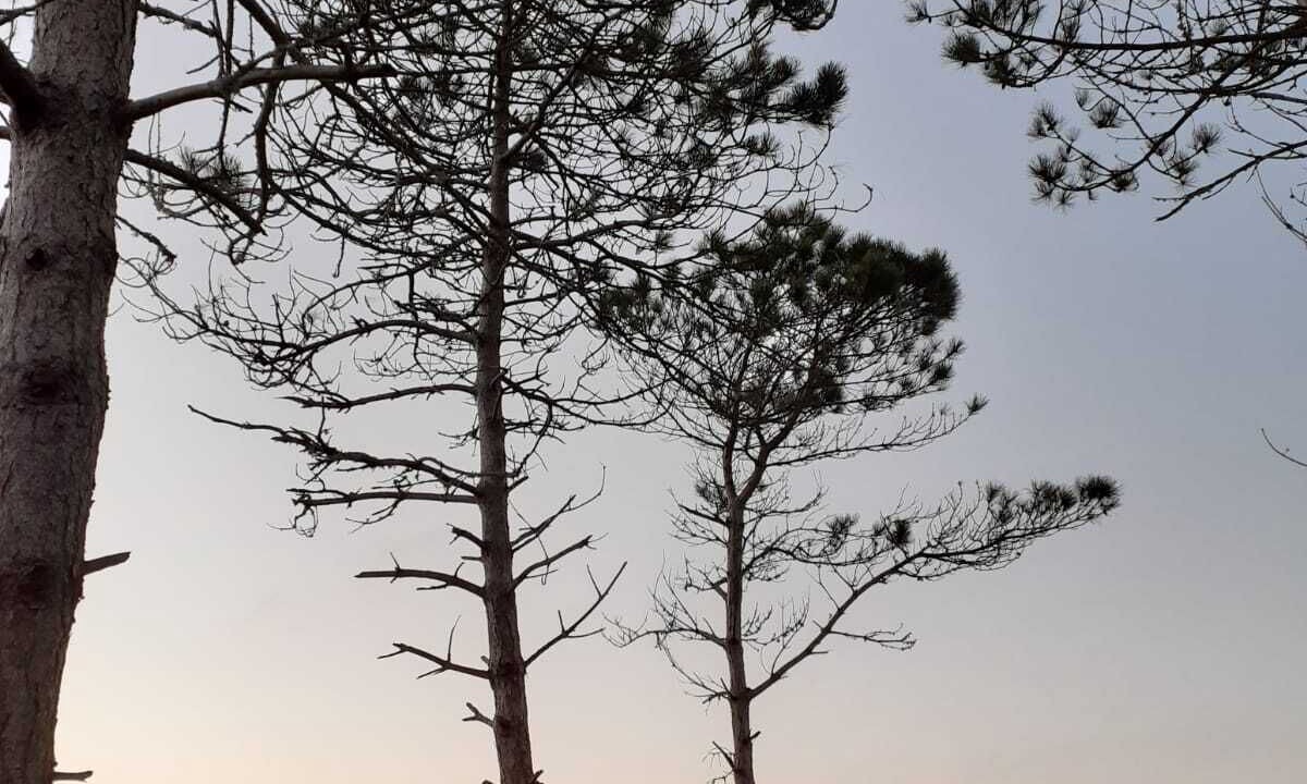 Photo of Outdoor in Primelin