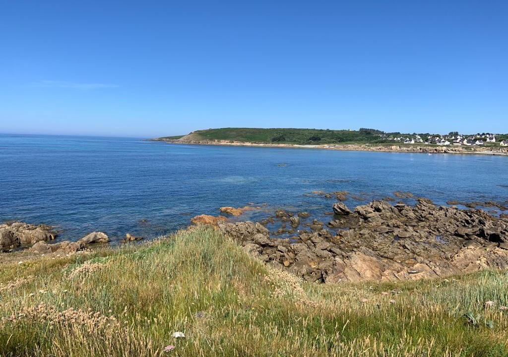 Photo of Others in Primelin