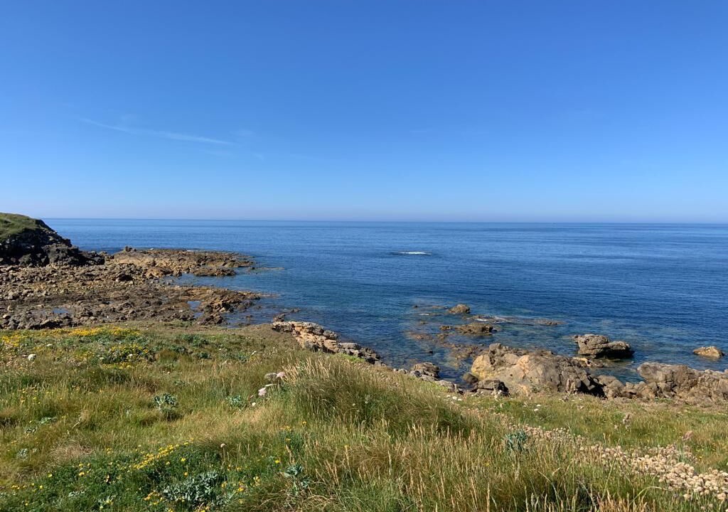 Photo of Others in Primelin