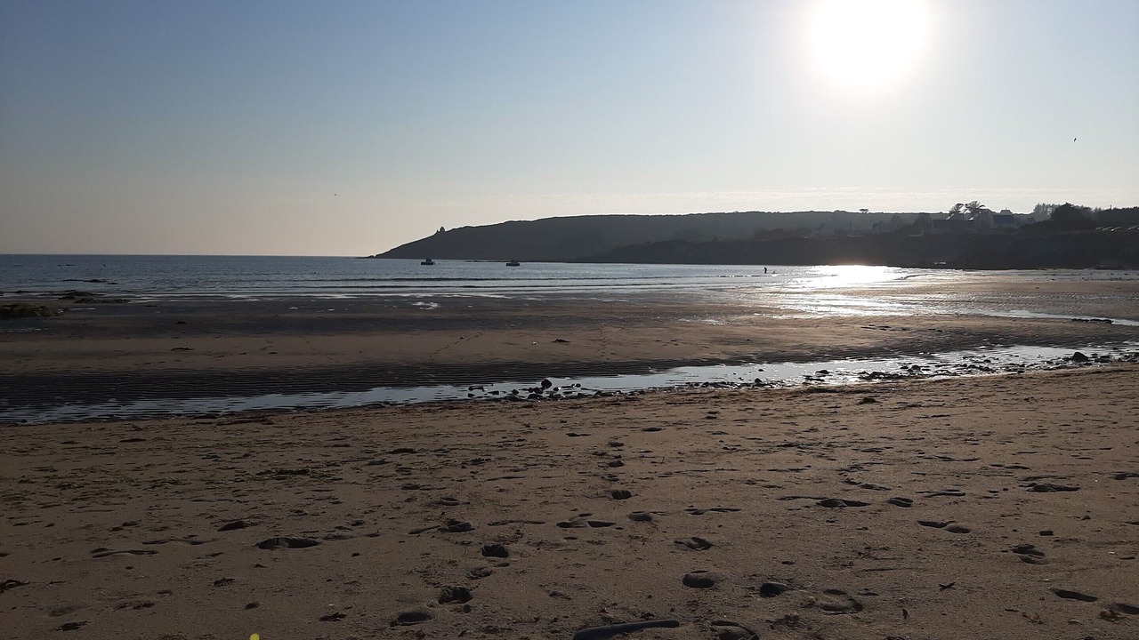 Photo of Others in Primelin