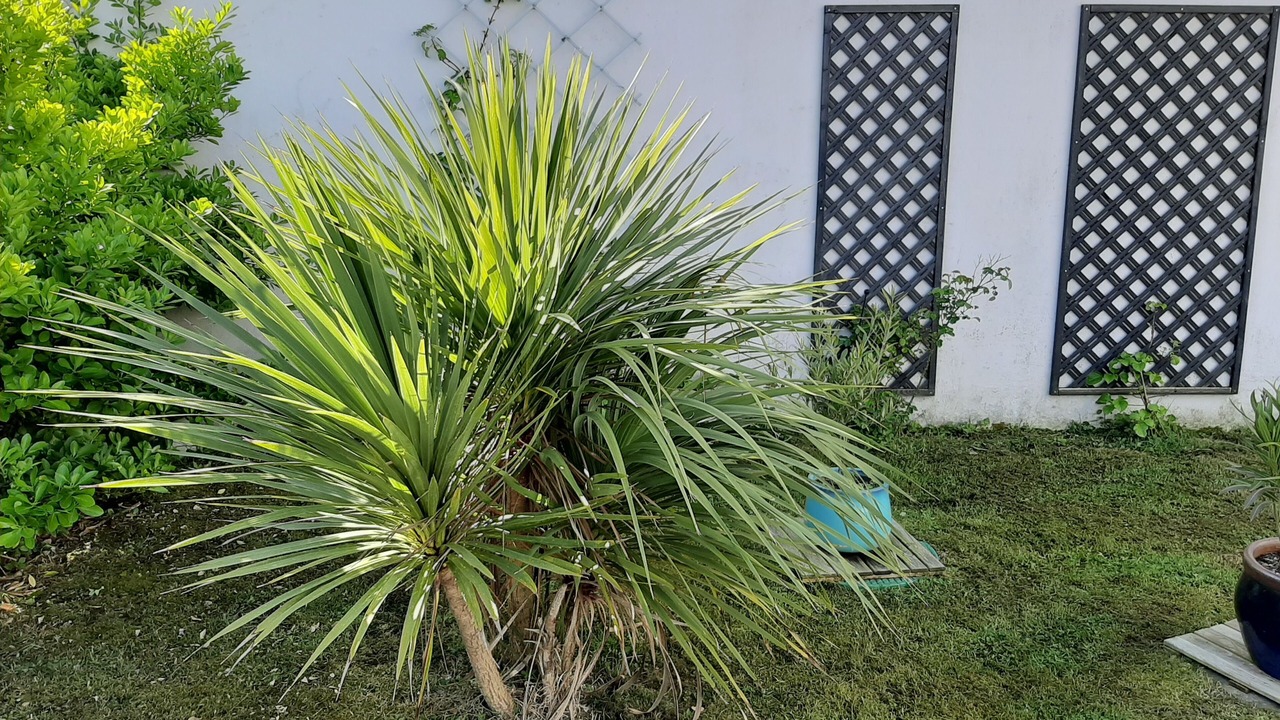 Photo of Outdoor in Primelin