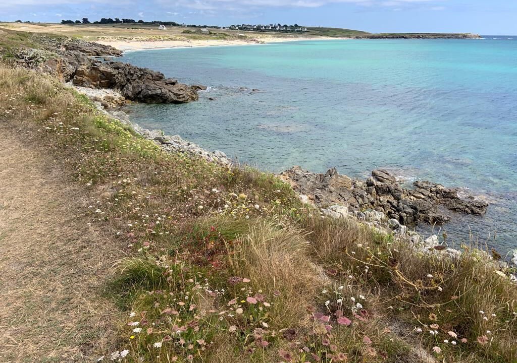 Photo of Others in Primelin