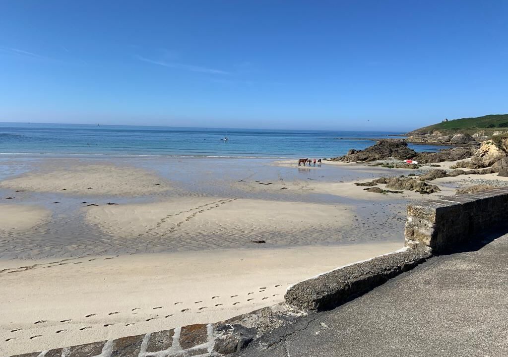 Photo of Others in Primelin