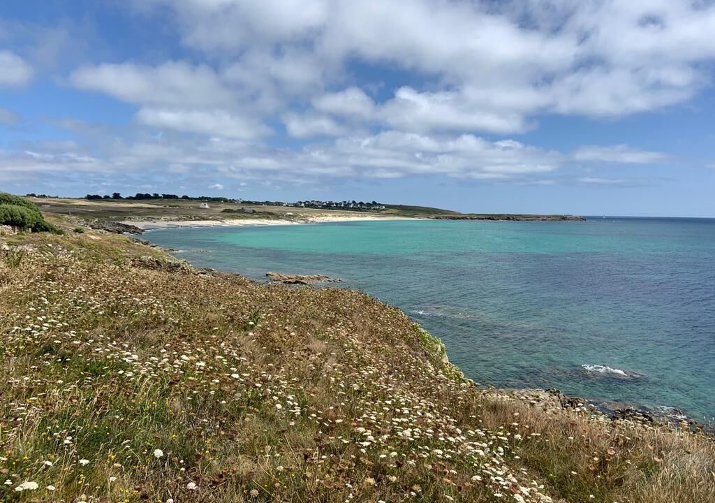 Photo of Others in Primelin