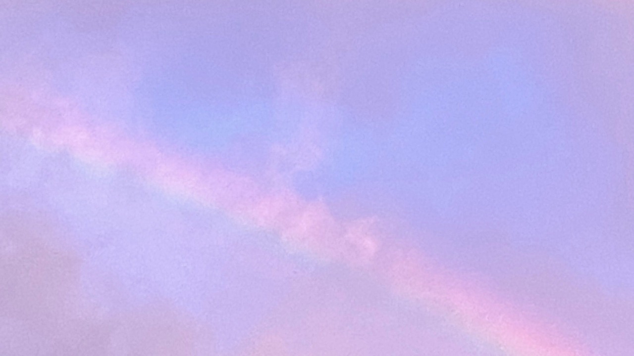 Photo of Others in Willow