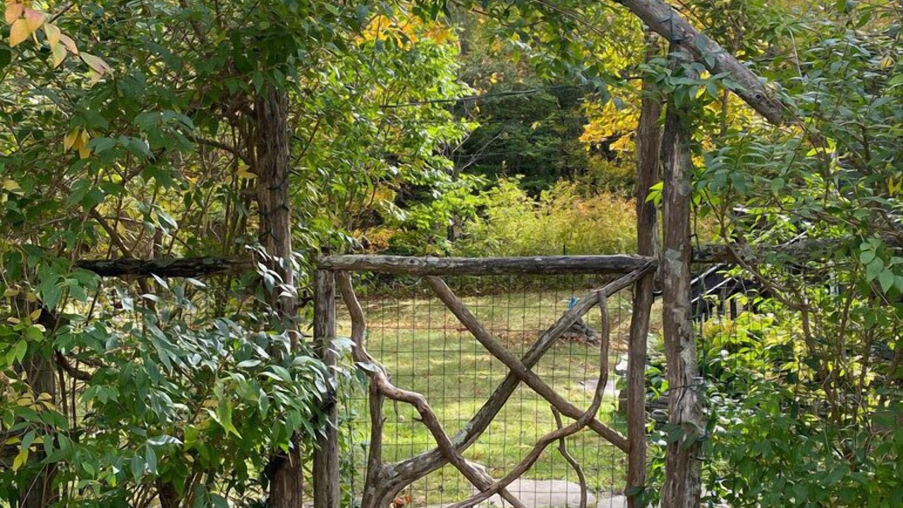 Photo of Outdoor in Willow