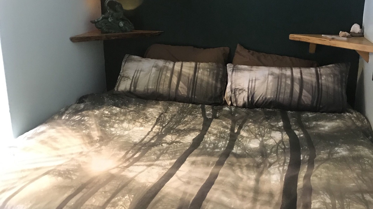 Photo of Bedroom in Willow