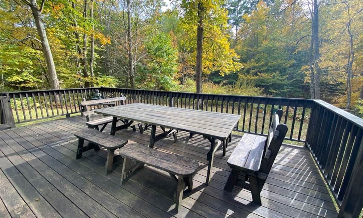 Photo of Others in Willow