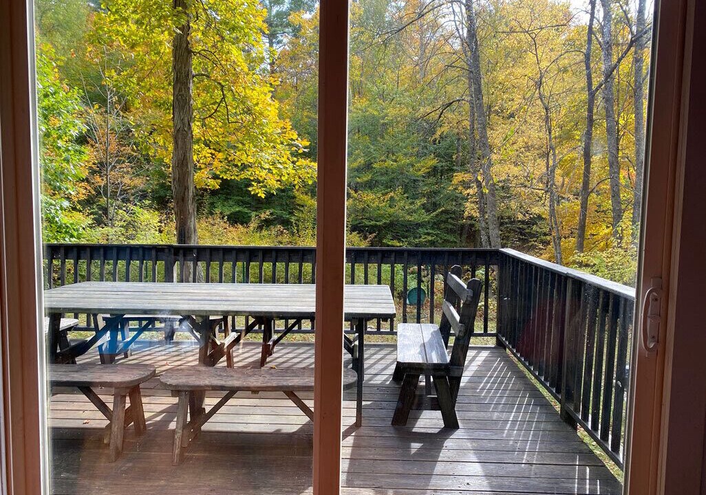 Photo of Outdoor in Willow