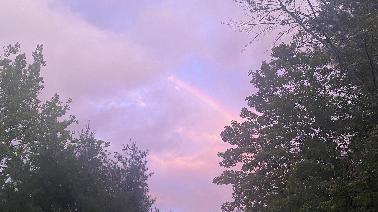 Photo of Outdoor in Willow