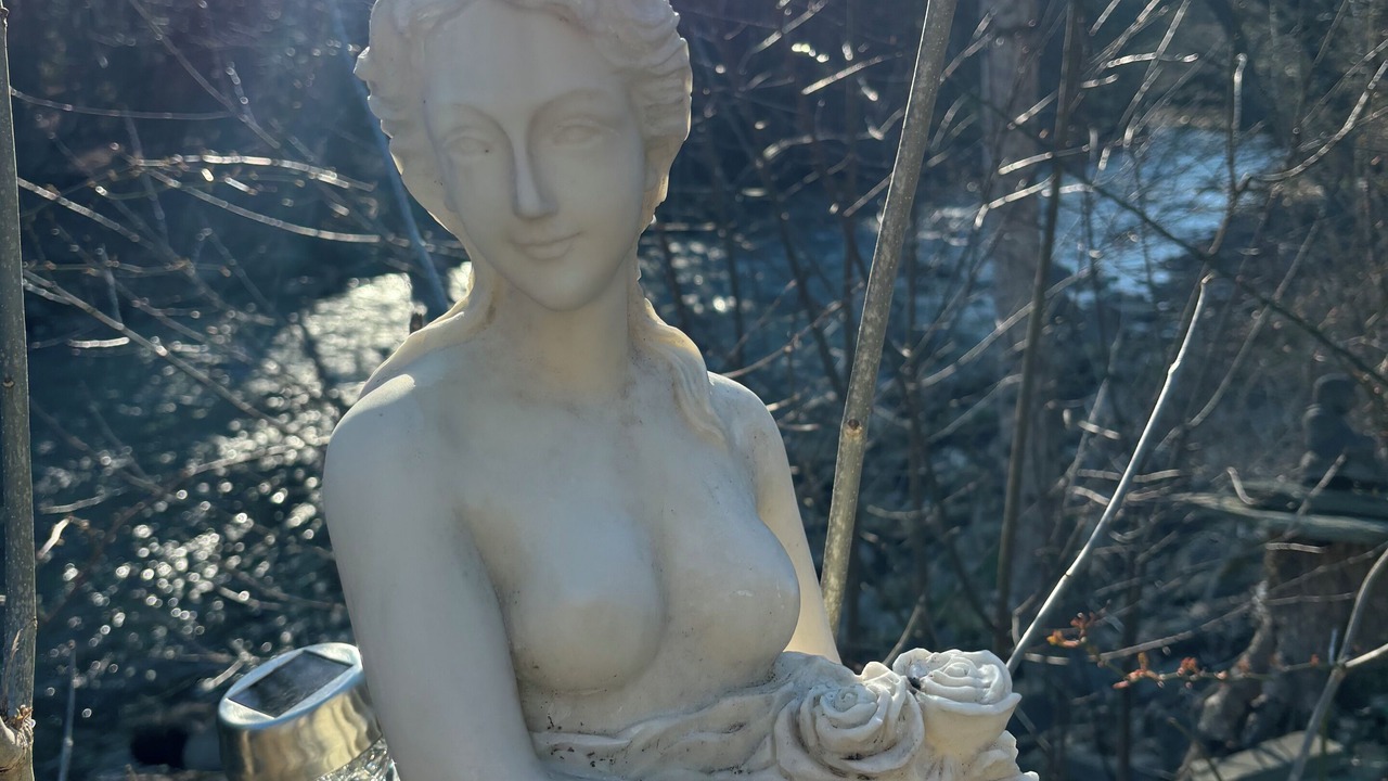 Photo of Others in Willow