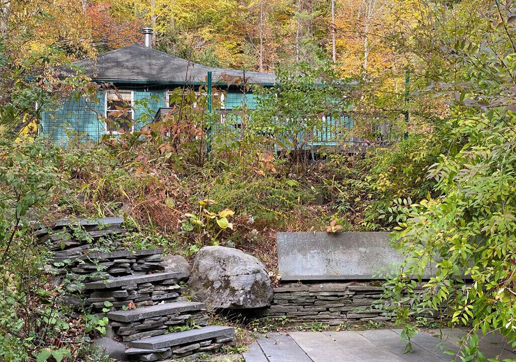 Photo of Outdoor in Willow