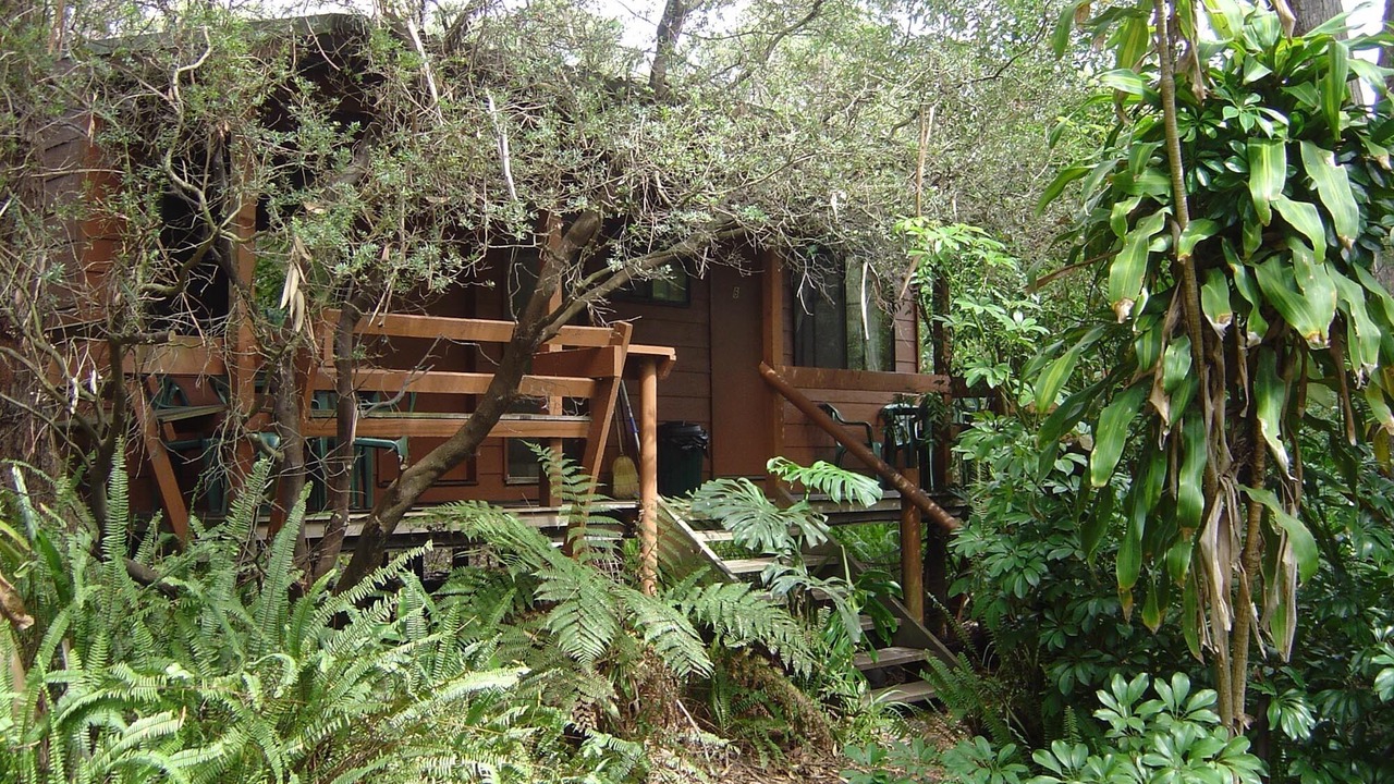 Photo of Outdoor in Anna Bay