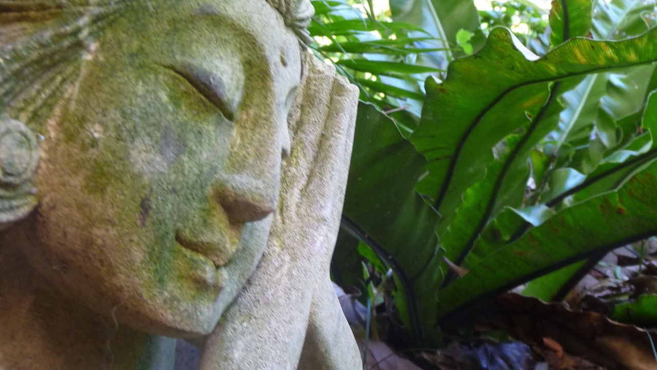 Photo of Outdoor in Anna Bay