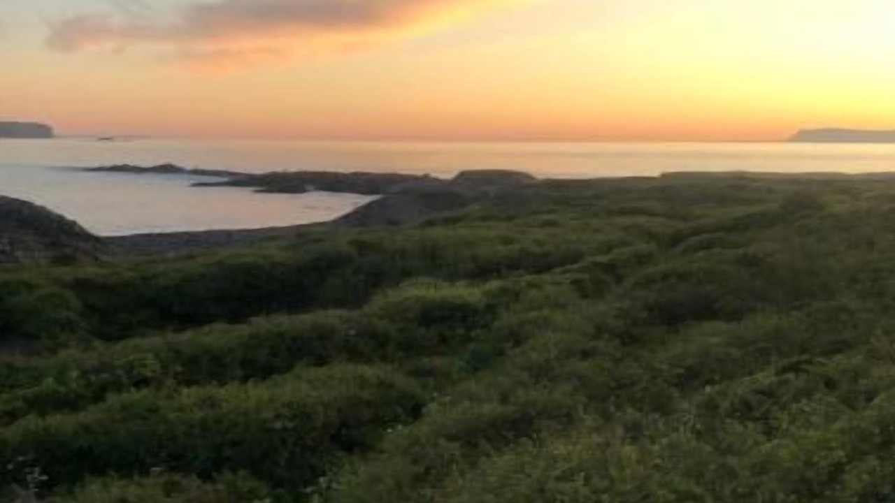 Photo of Others in Slate Islands