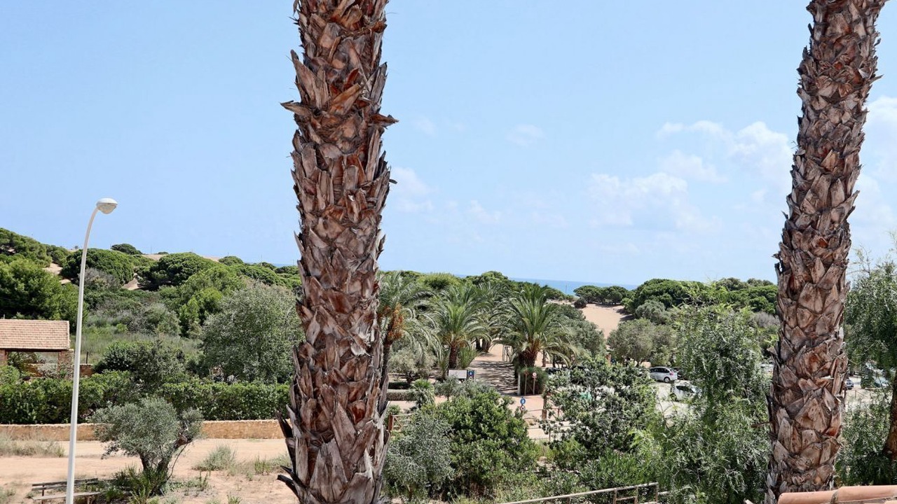 Photo of Outdoor in Los Arenales del Sol