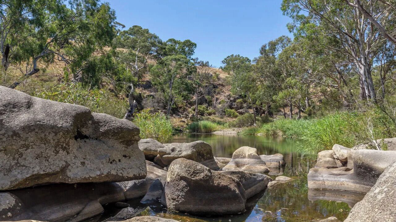 Photo of Others in Bulla