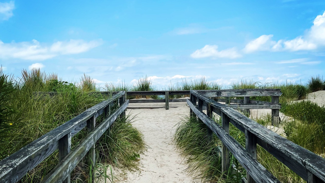 Photo of Others in Cape Charles
