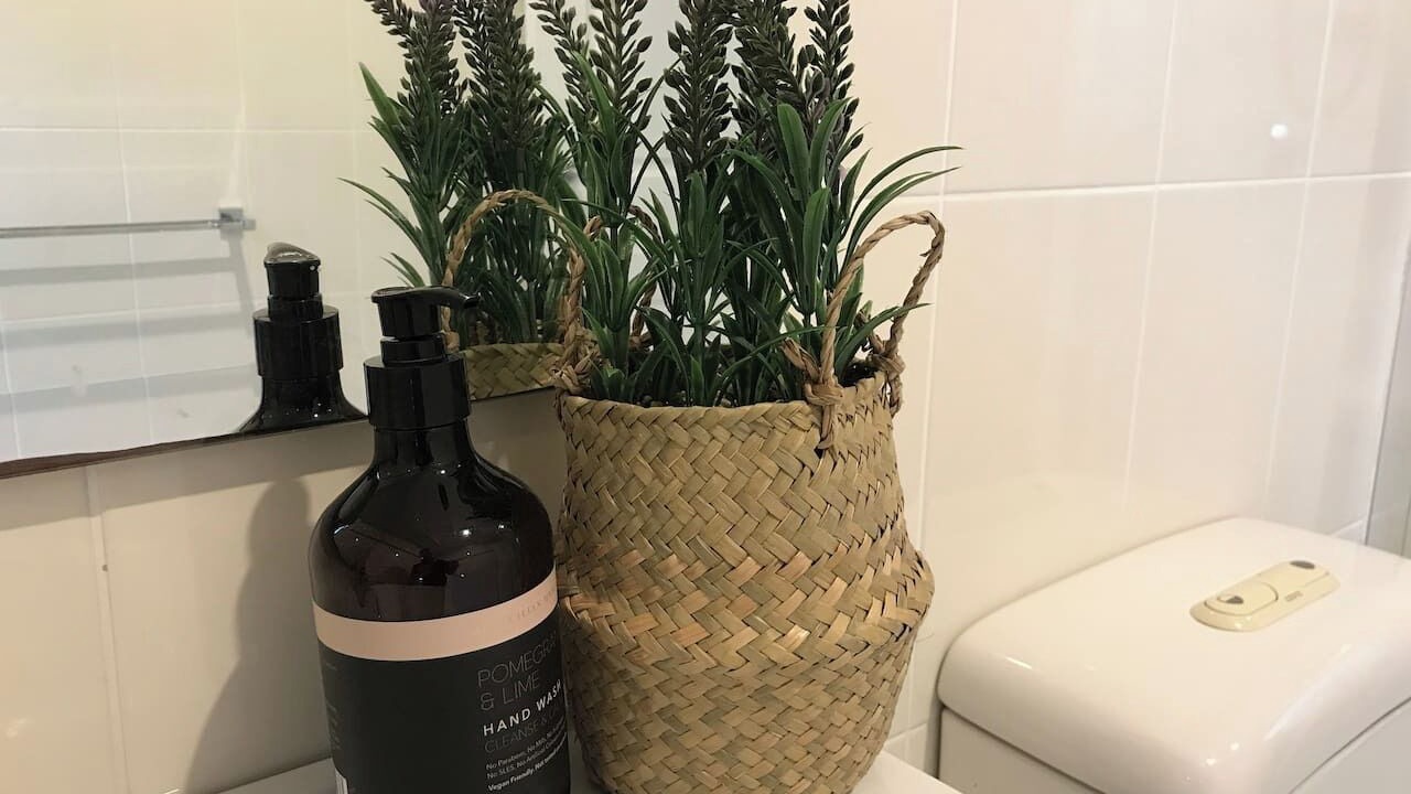 Photo of Others in Bar Point