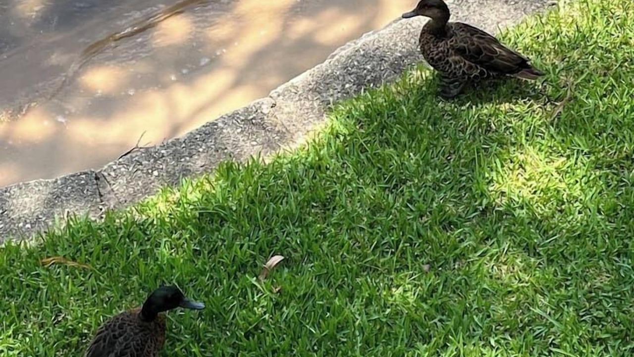 Photo of Outdoor in Bar Point