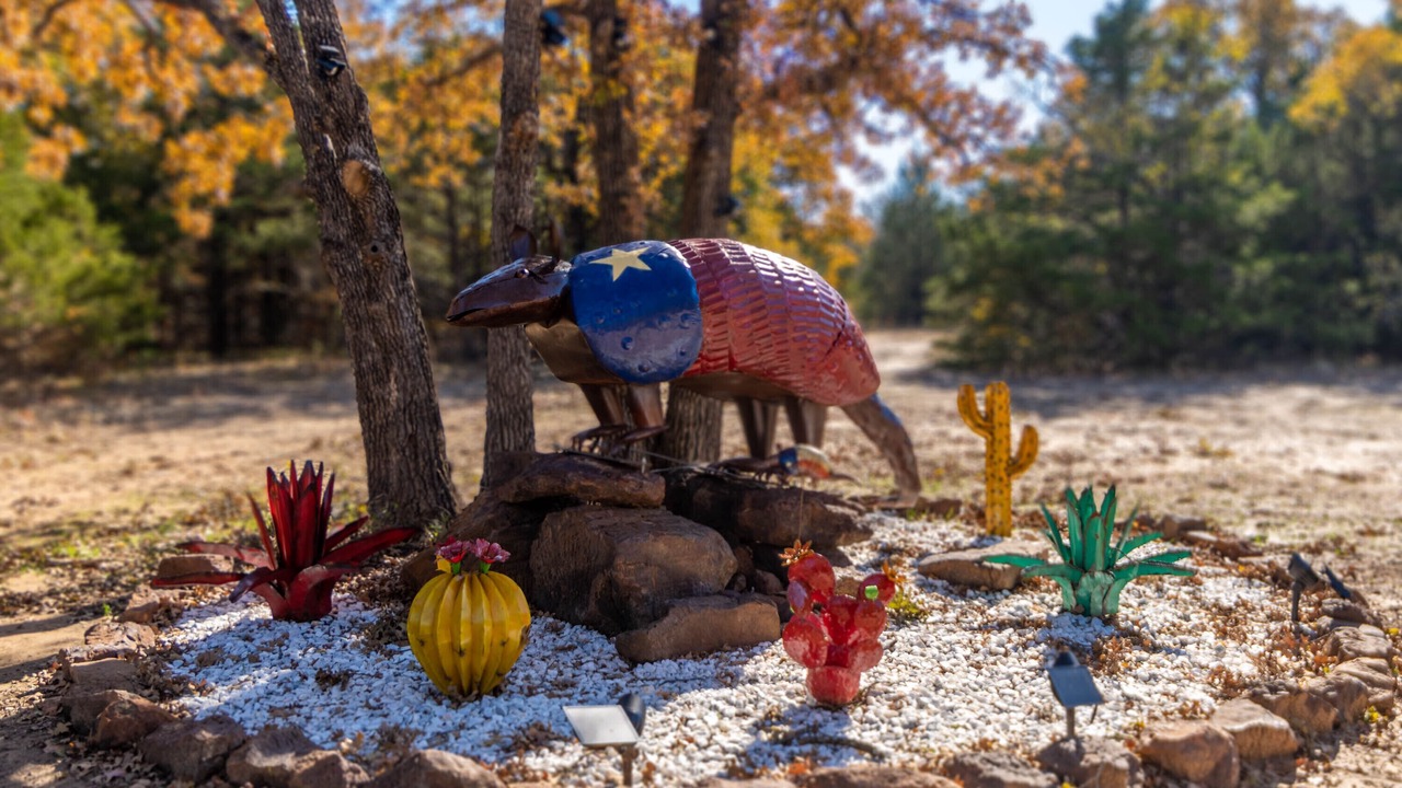 Photo of Outdoor in Pottsboro