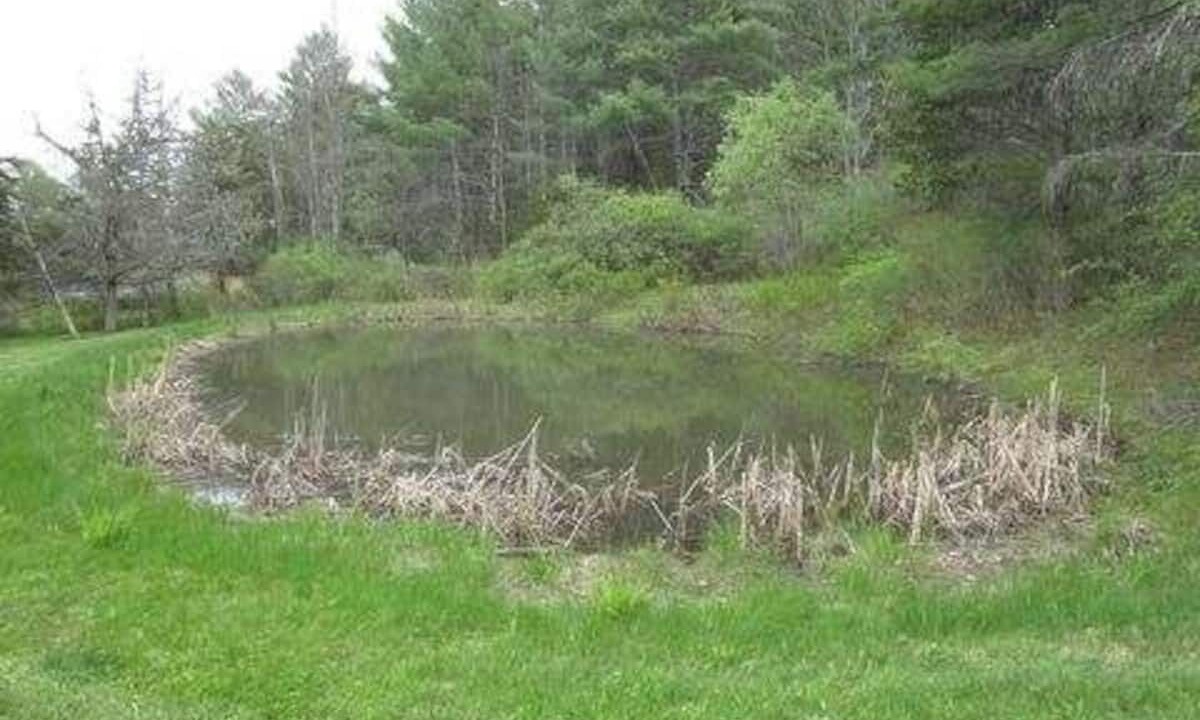 Photo of Outdoor in Gilboa