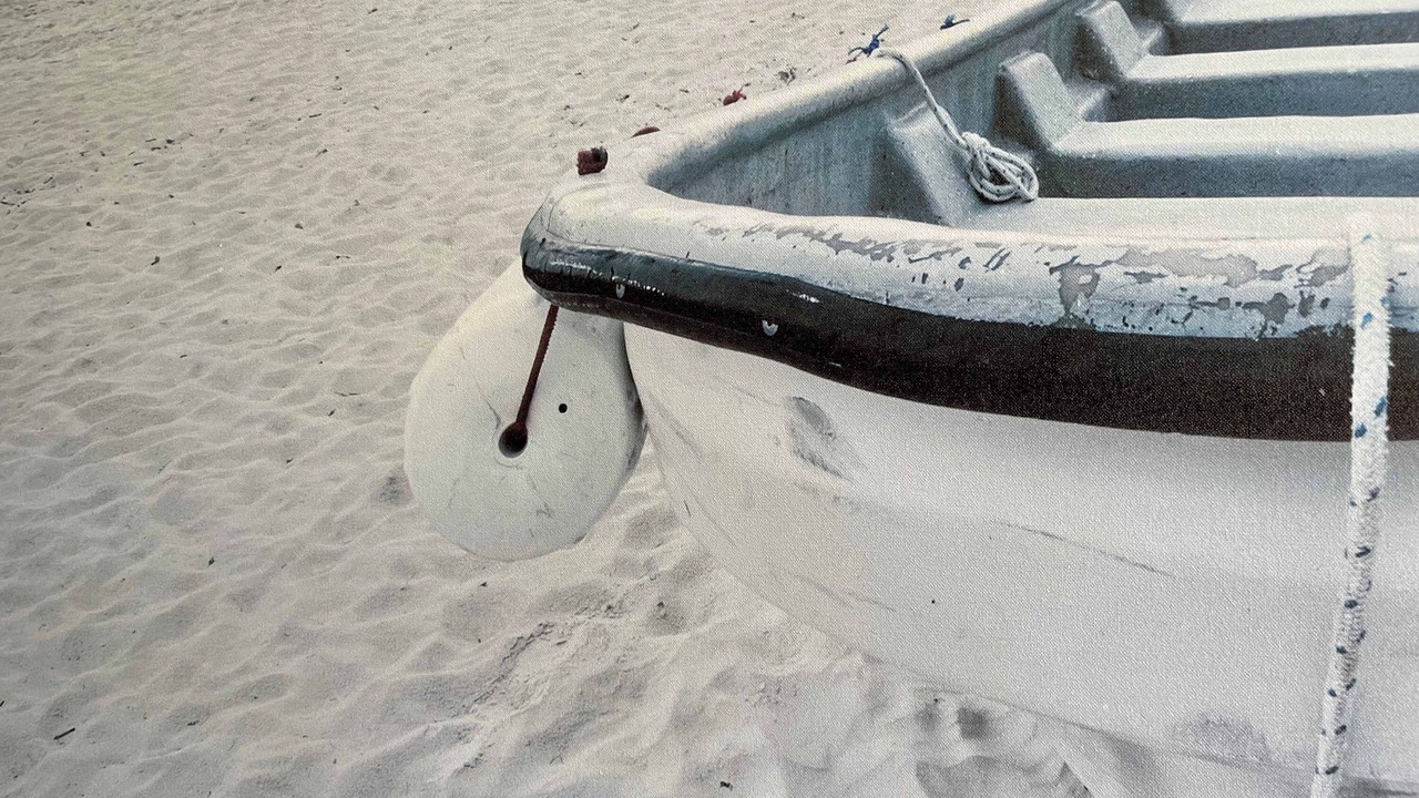 Photo of Others in Mollymook Beach