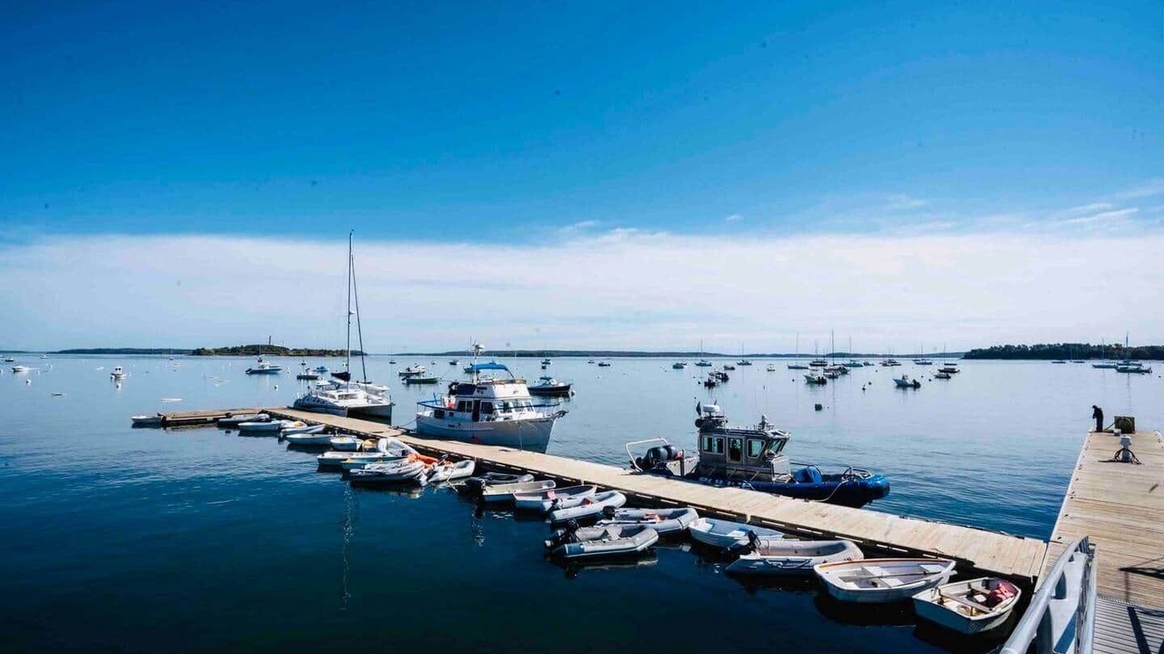 Photo of Others in Town Landing