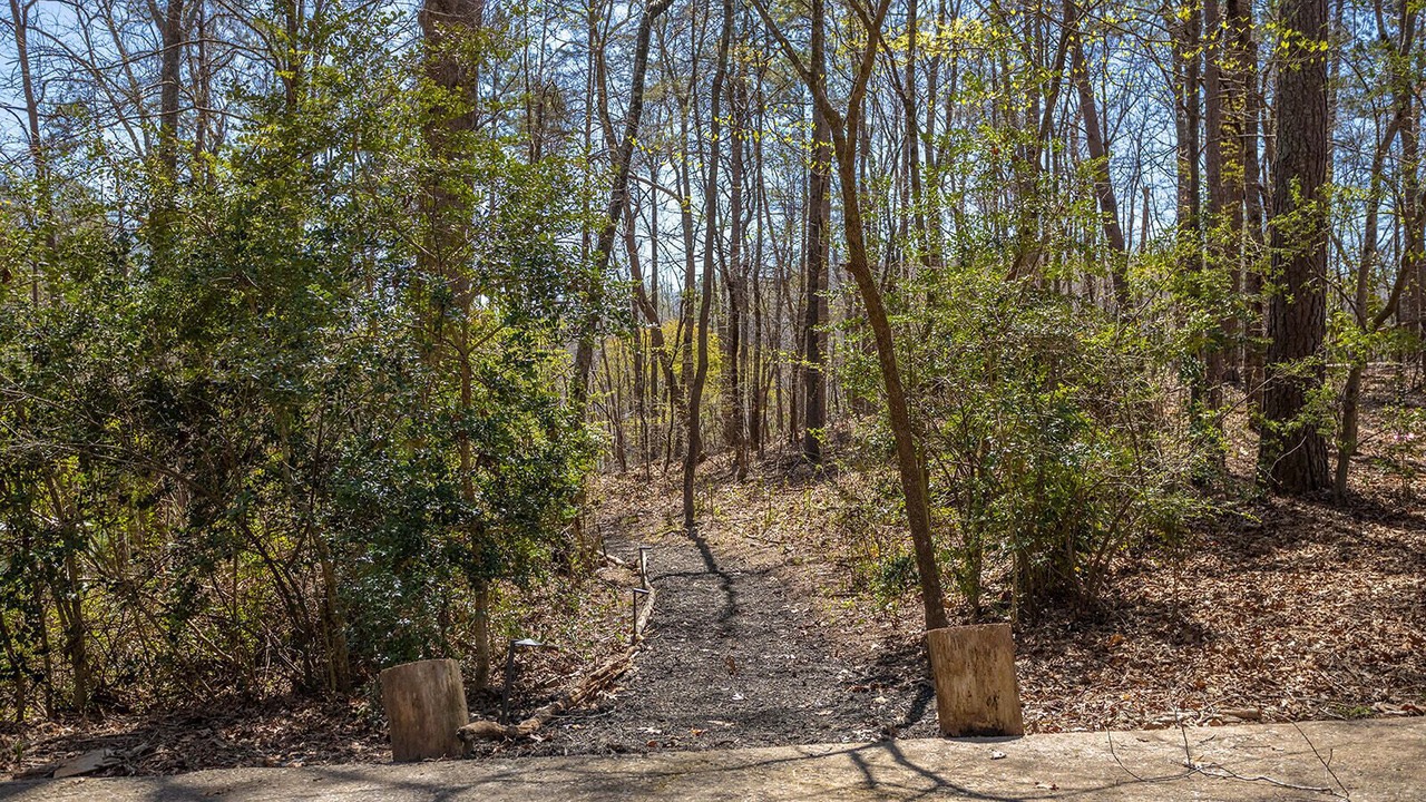 Photo of Outdoor in Flowery Branch