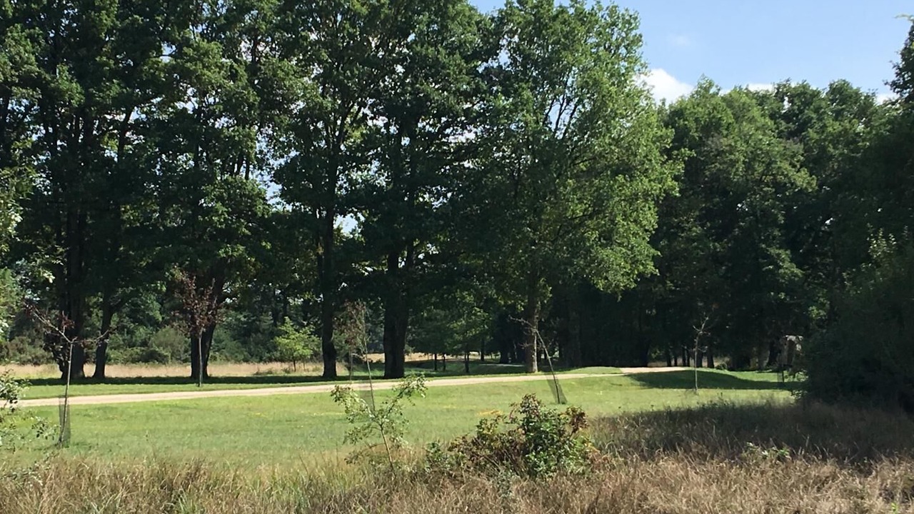 Photo of Others in Villeherviers