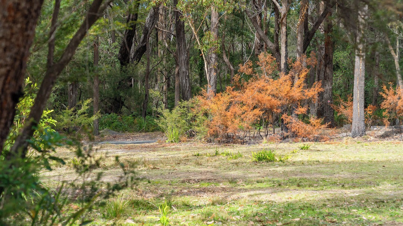 Photo of Others in Kioloa