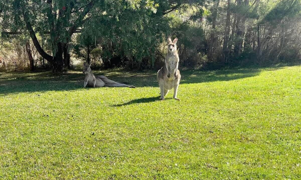 Photo of Others in Kioloa