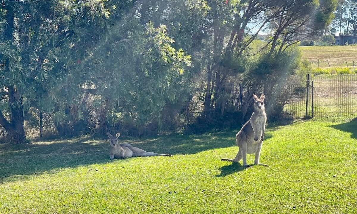 Photo of Others in Kioloa