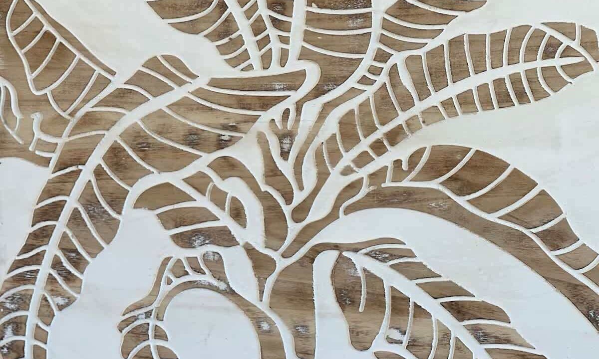 Photo of Others in Kioloa