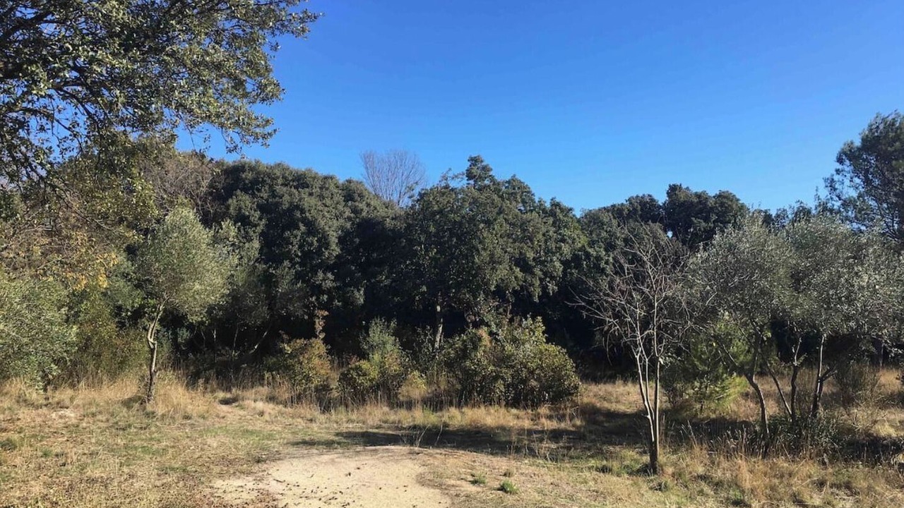 Photo of Outdoor in Les 3 Ponts