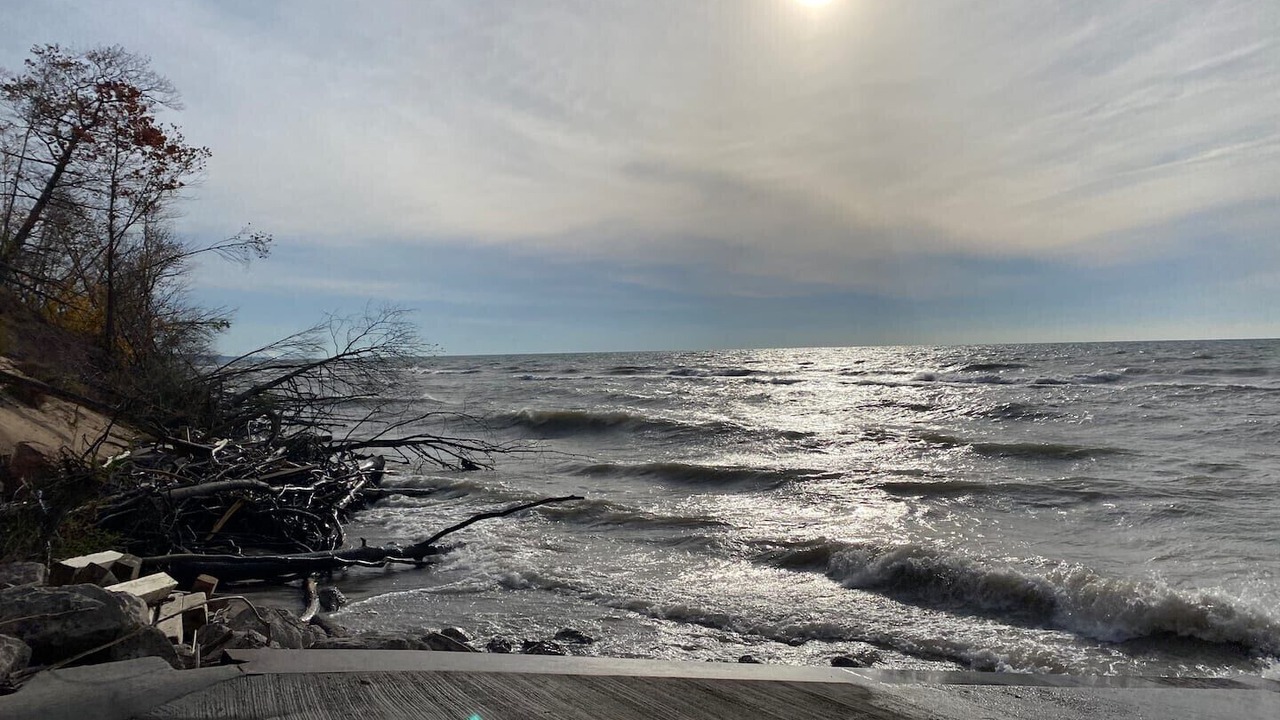 Photo of Others in South Haven
