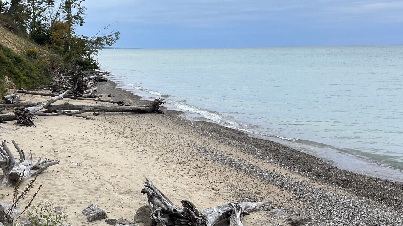 Photo of Others in South Haven