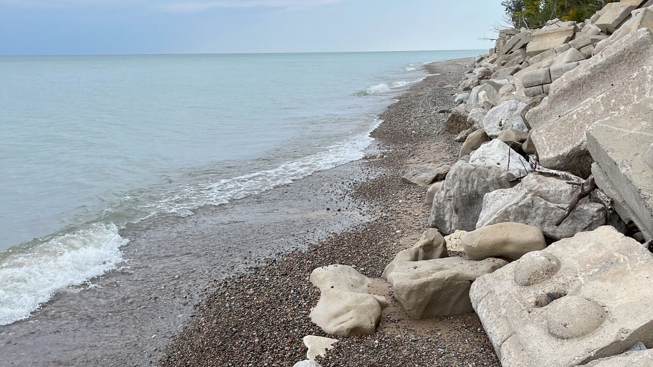 Photo of Others in South Haven