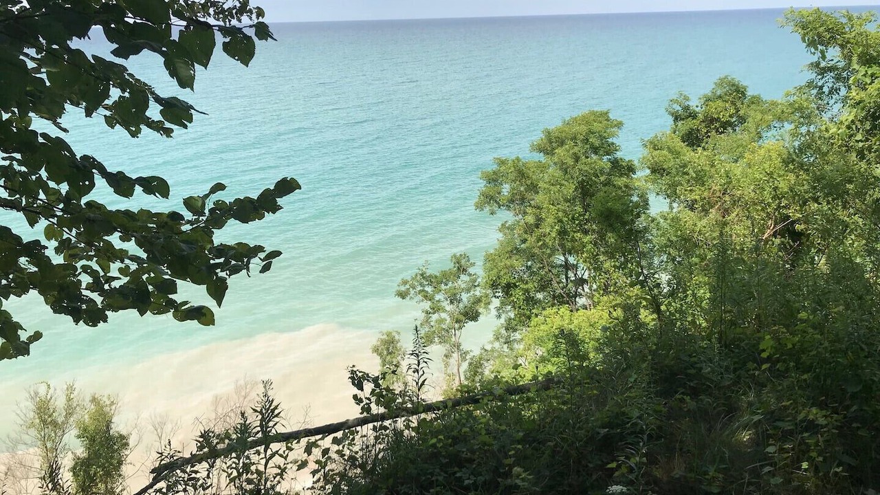 Photo of Others in South Haven