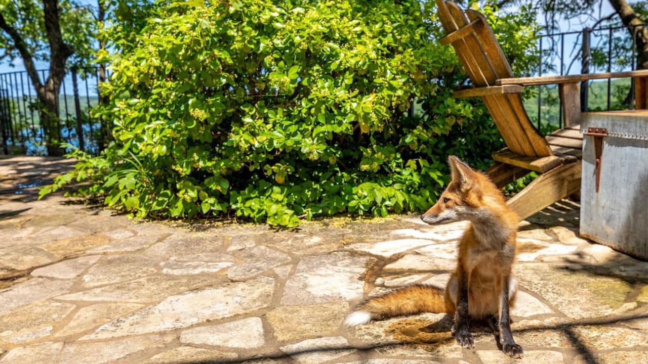 Photo of Others in Kirbyville