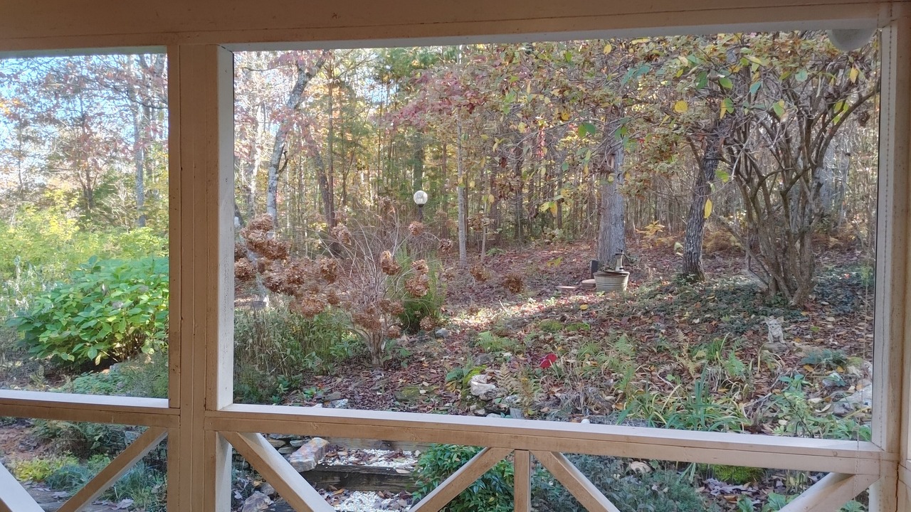 Photo of Others in Blairsville