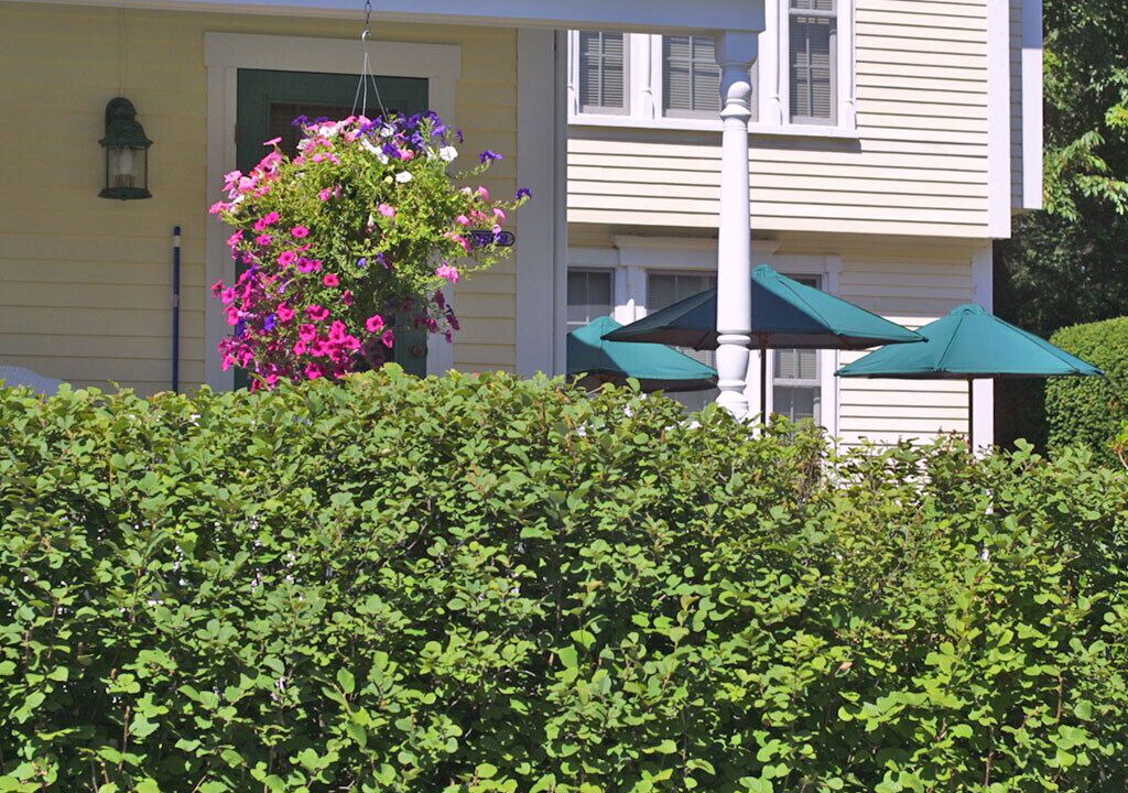 Photo of Others in Gilford