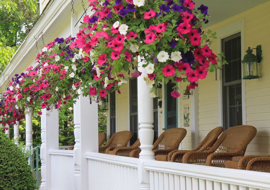 Photo of Outdoor in Gilford