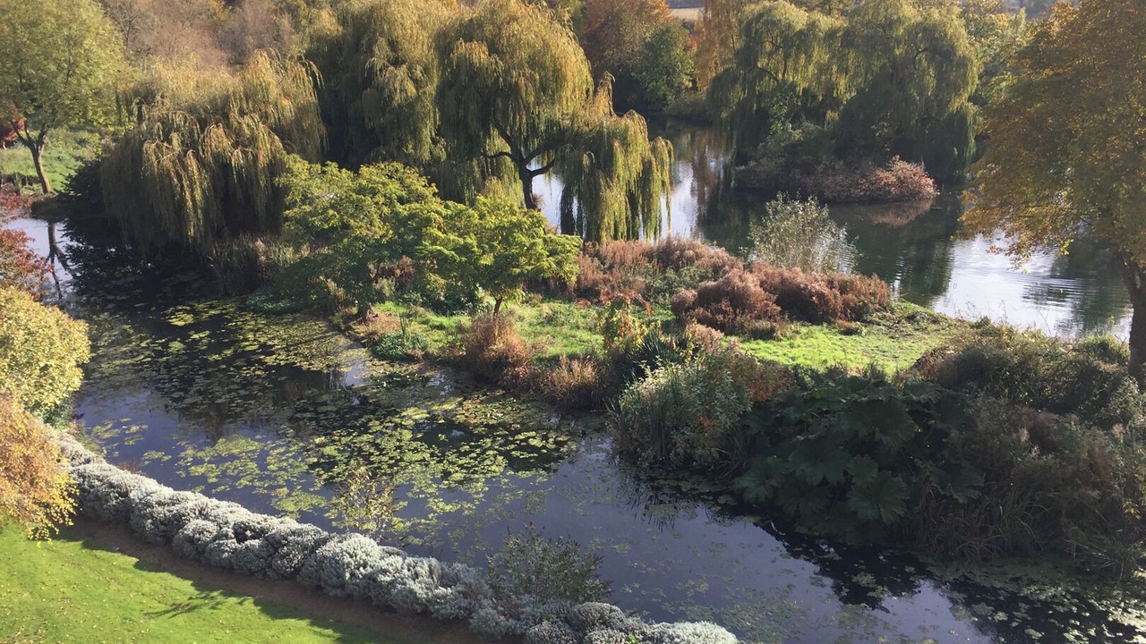 Photo of Outdoor in Kemerton