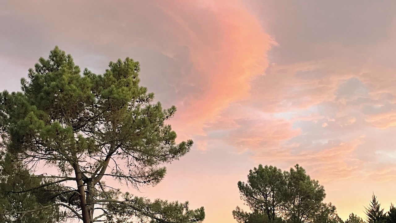 Photo of Outdoor in Onesse-et-Laharie