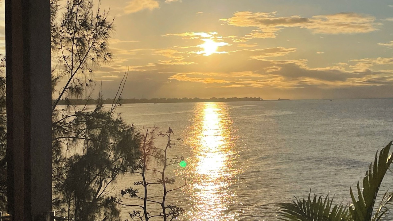 Photo of Others in Onesse-et-Laharie