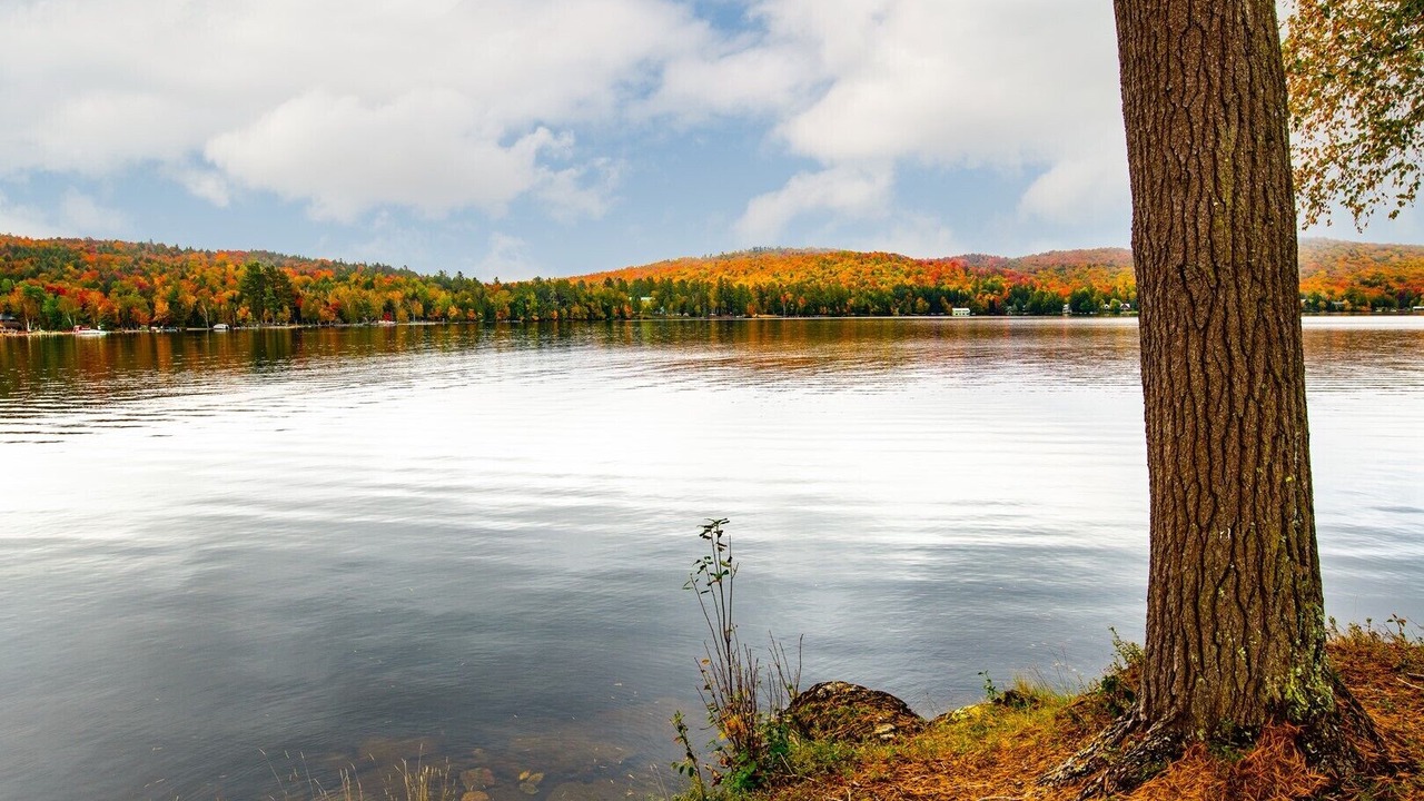 Photo of Outdoor in Inlet