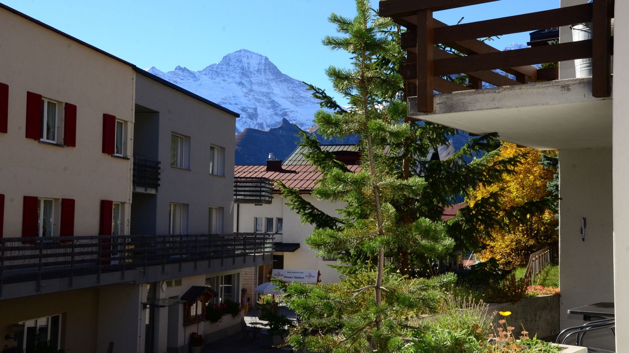 Photo of Outdoor in Stechelberg