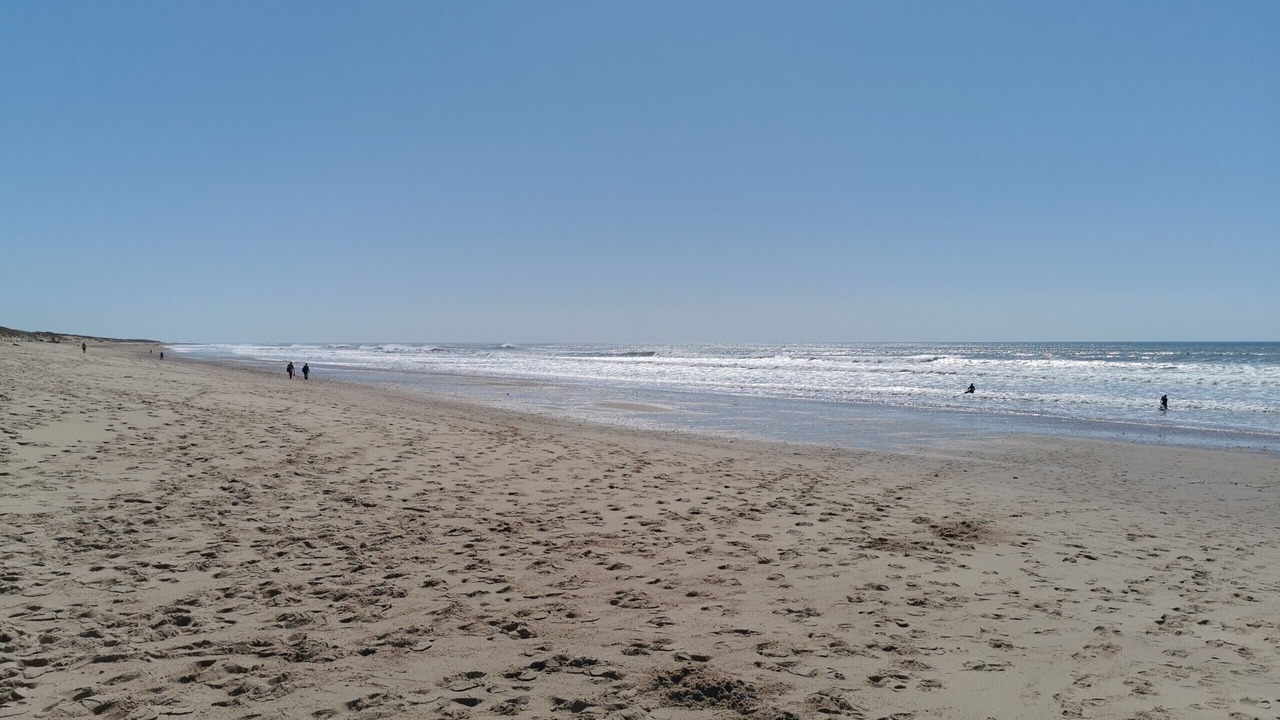 Photo of Others in Bretignolles-sur-Mer